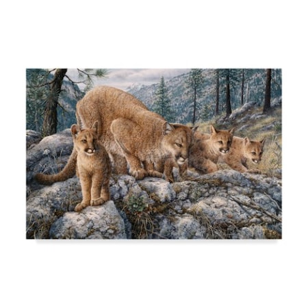 Jeff Tift 'Cat Family' Canvas Art,30x47